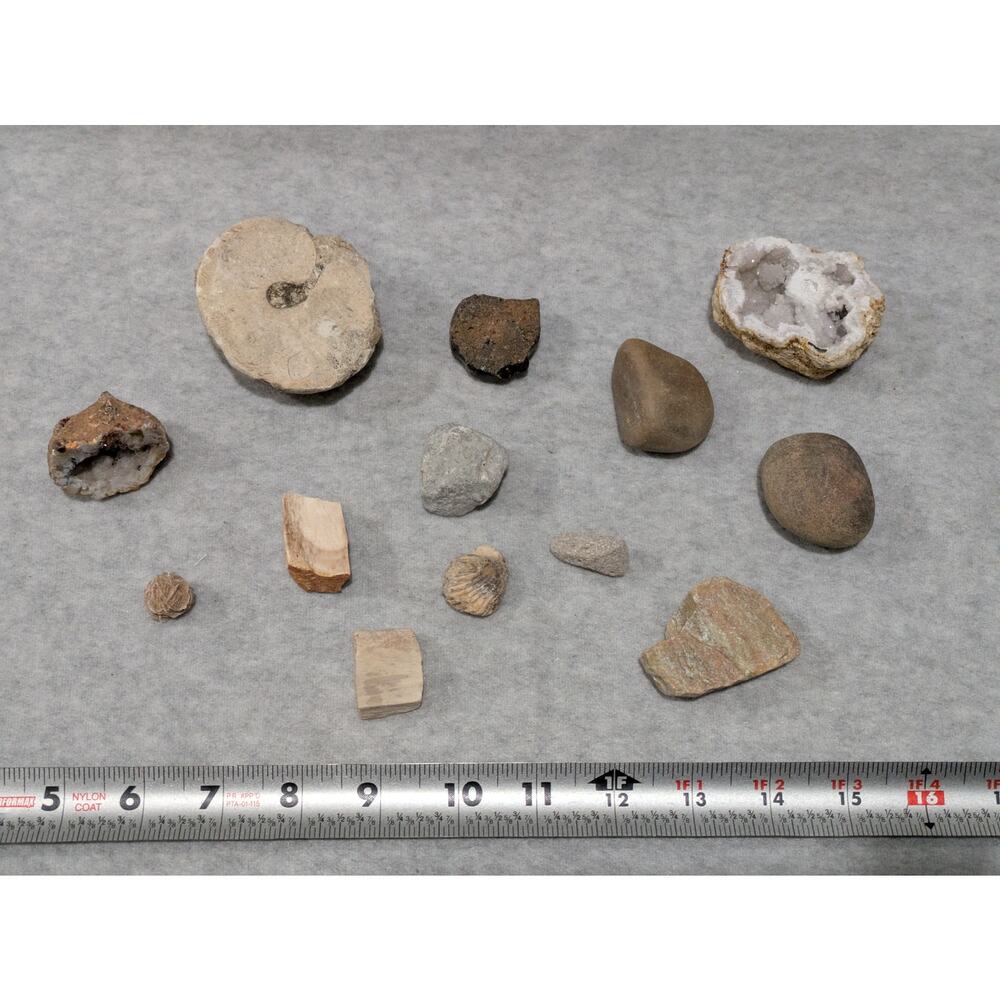 Fossil Rock Crystals Tumble Rough Geode Collect Lot of 13